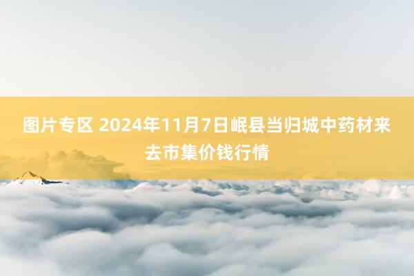 图片专区 2024年11月7日岷县当归城中药材来去市集价钱行情