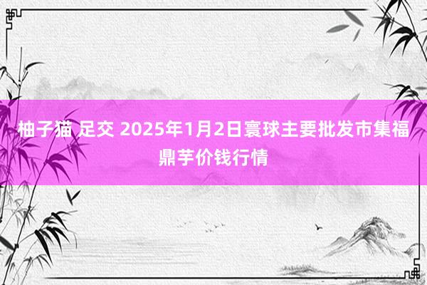 柚子猫 足交 2025年1月2日寰球主要批发市集福鼎芋价钱行情