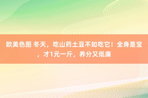 欧美色图 冬天，吃山药土豆不如吃它！全身是宝，才1元一斤，养分又低廉