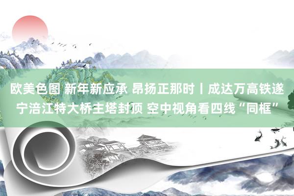 欧美色图 新年新应承 昂扬正那时丨成达万高铁遂宁涪江特大桥主塔封顶 空中视角看四线“同框”