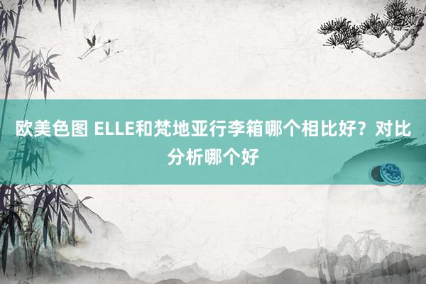 欧美色图 ELLE和梵地亚行李箱哪个相比好？对比分析哪个好