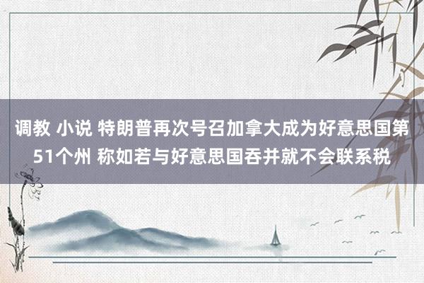 调教 小说 特朗普再次号召加拿大成为好意思国第51个州 称如若与好意思国吞并就不会联系税