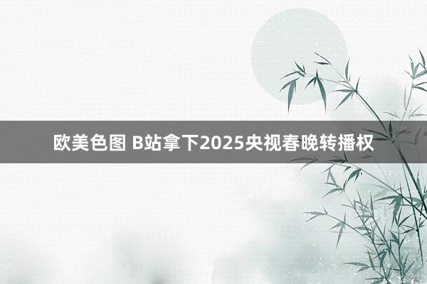 欧美色图 B站拿下2025央视春晚转播权