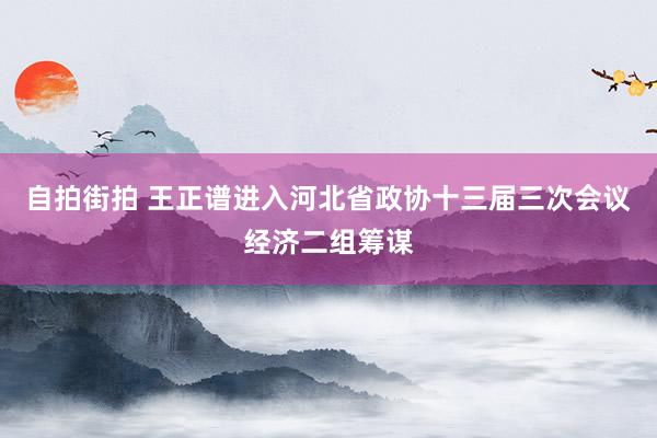 自拍街拍 王正谱进入河北省政协十三届三次会议经济二组筹谋