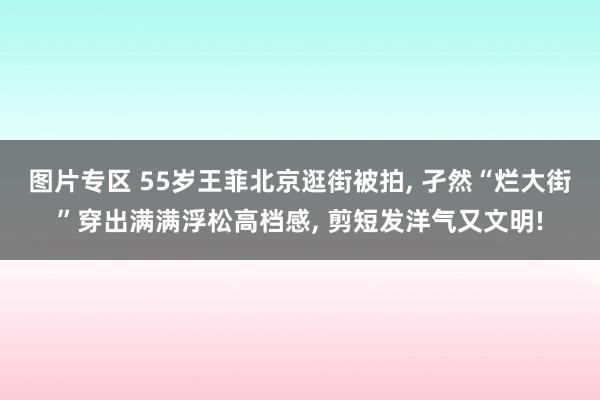 图片专区 55岁王菲北京逛街被拍， 孑然“烂大街”穿出满满浮松高档感， 剪短发洋气又文明!