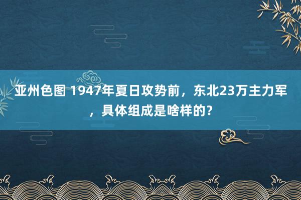 亚州色图 1947年夏日攻势前，东北23万主力军，具体组成是啥样的？